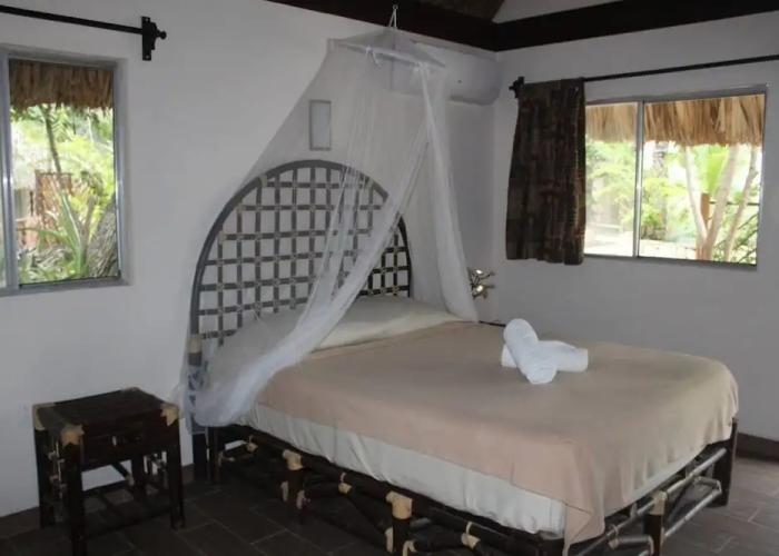 Vida Jungle Resort