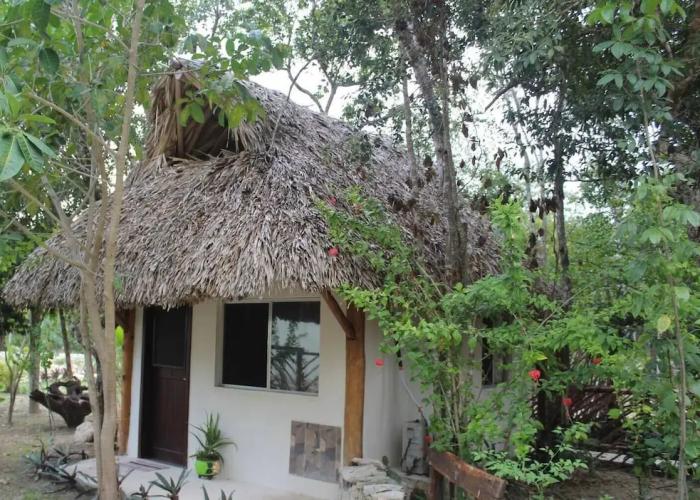 Vida Jungle Resort