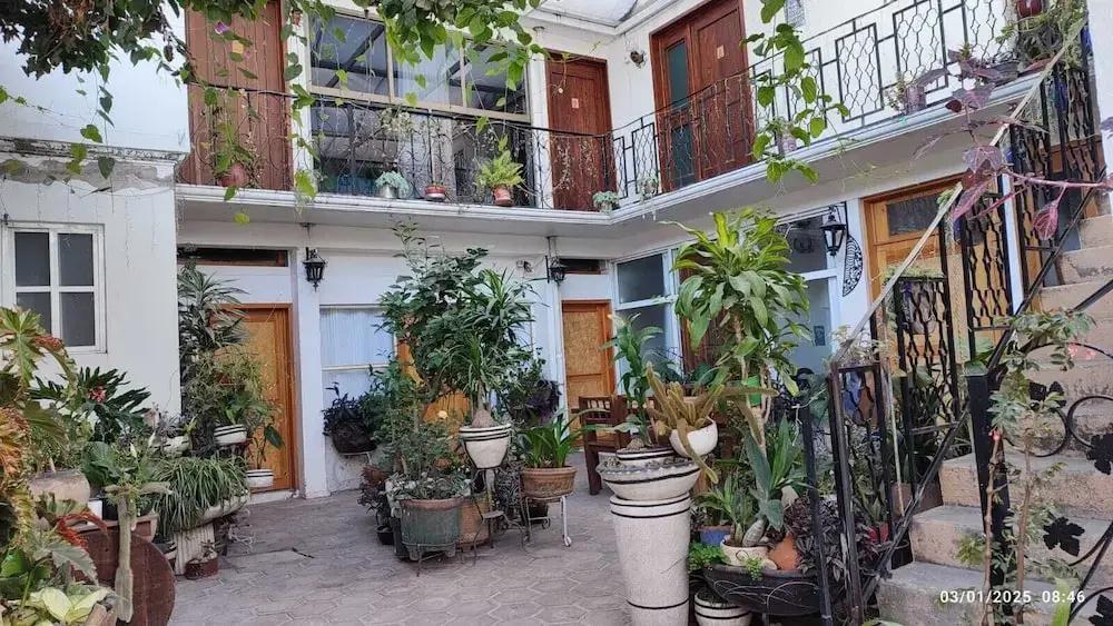 фото Hostal Mago