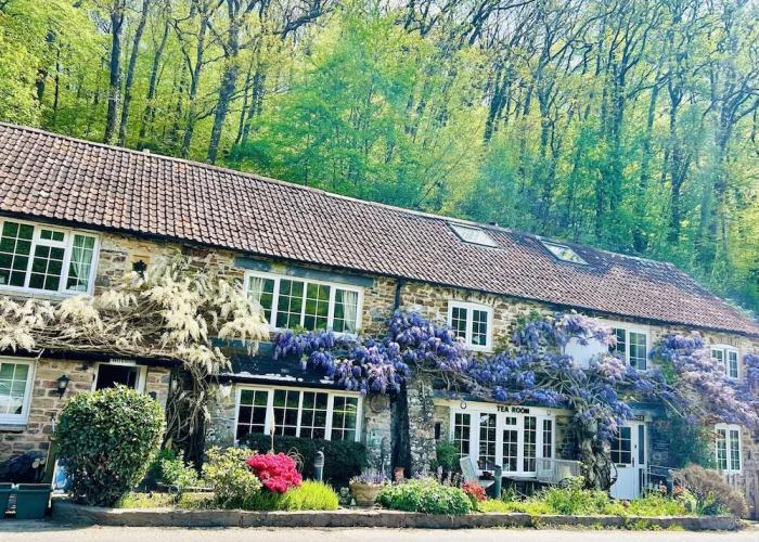 Charming Holiday Cottage in Devon - Country Views