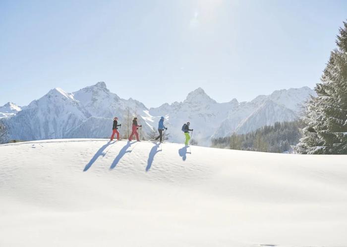 Appartement Alpenrose