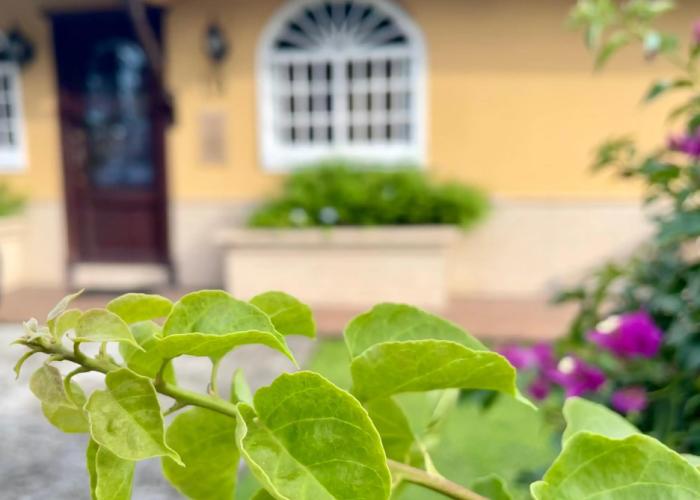 Sofia's B&B Hostal Boutique