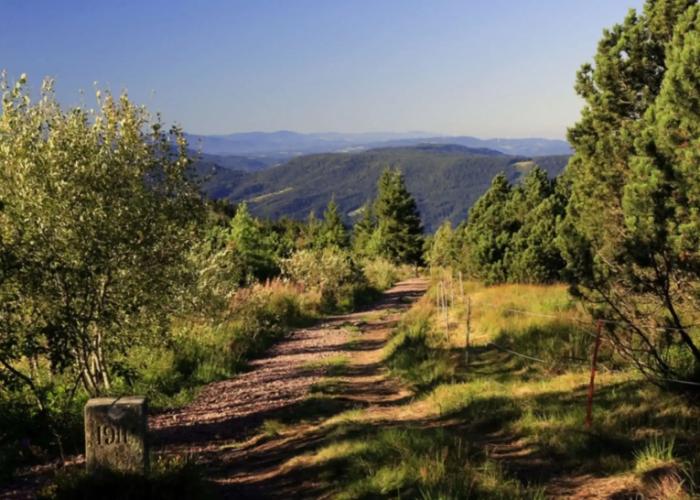 Wellness- & Nationalpark Hotel Schliffkopf Bwsc