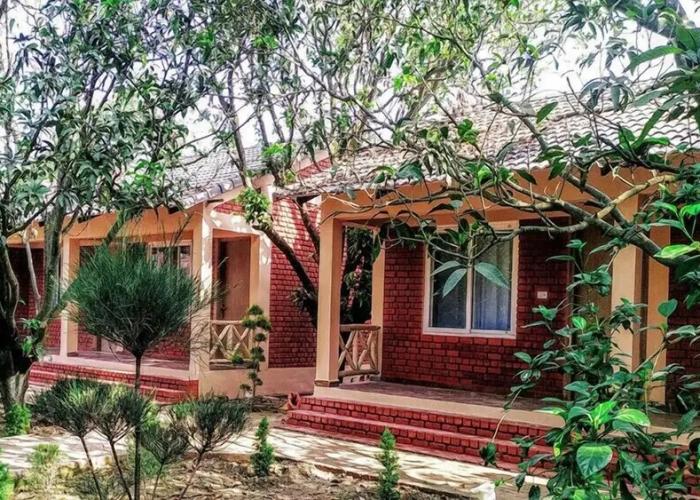 Orchard Retreat Resorts