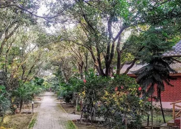 Orchard Retreat Resorts