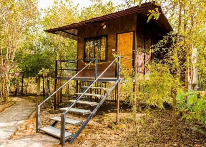 Wilderness camp Resort Pench