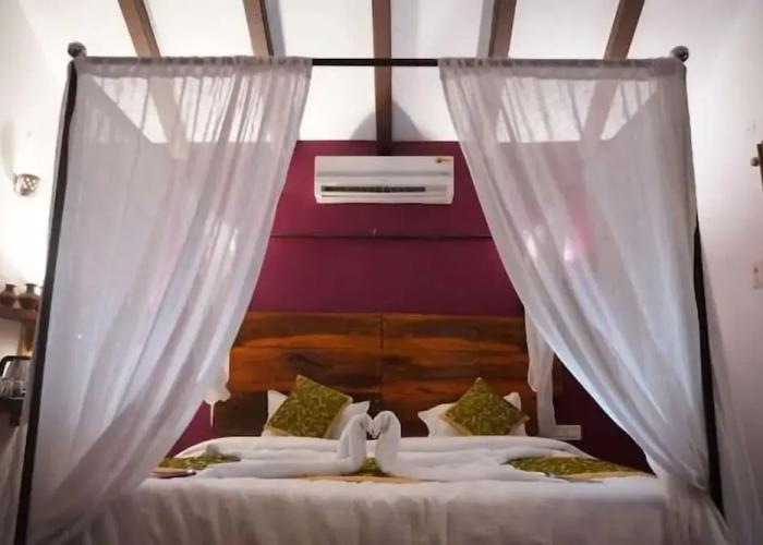 The Jungle Woods Resort