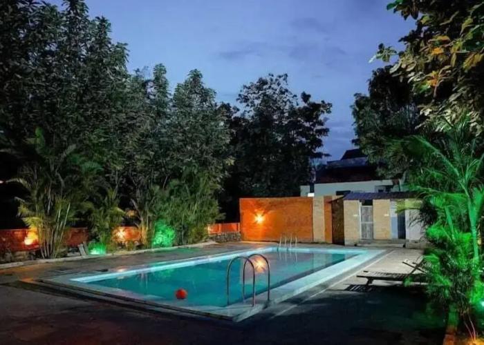 The Jungle Woods Resort