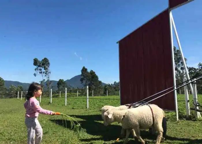 Shinta Corner Ranch and Resort