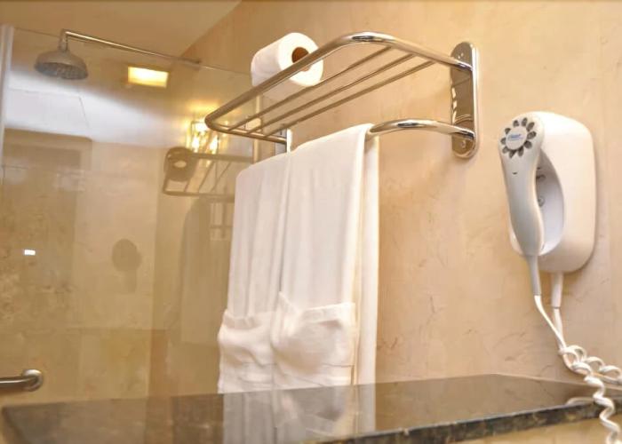 Hotel Plaza Meru
