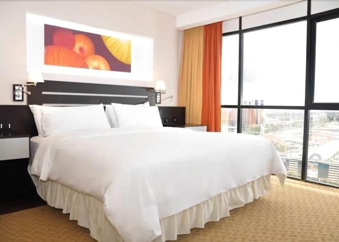 Hotel Plaza Meru