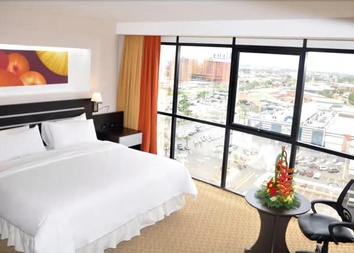 Hotel Plaza Meru