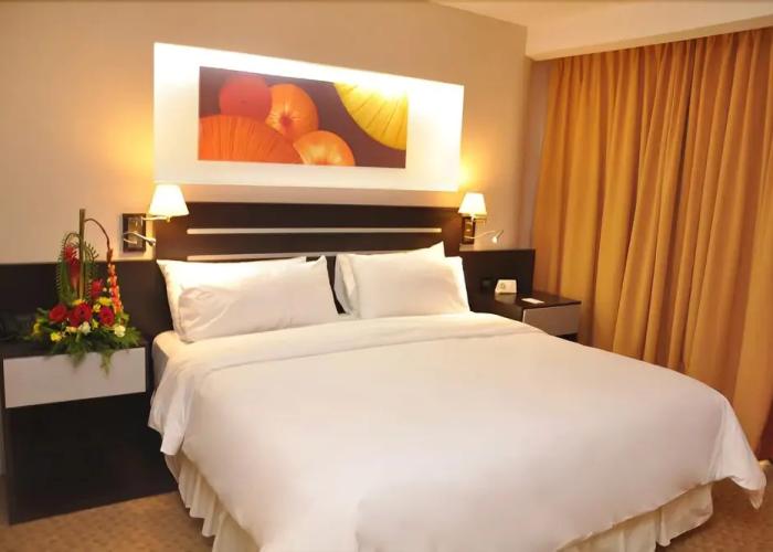 Hotel Plaza Meru