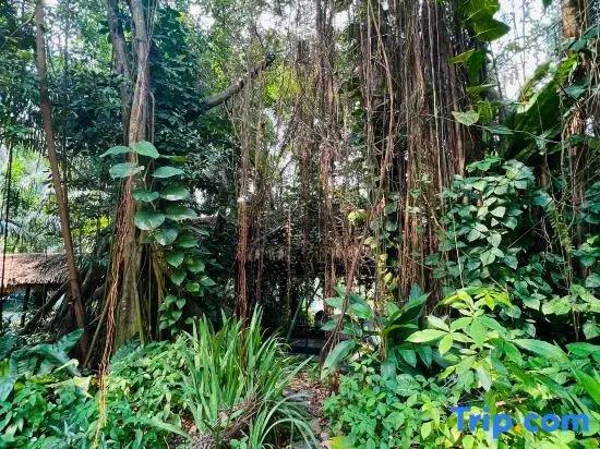 Seaview 2B1R 4pax Condo Forest City 4D-1809