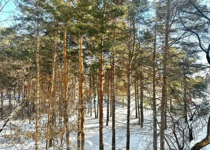 Studiya v samom tsentre s parkovkoy Flat