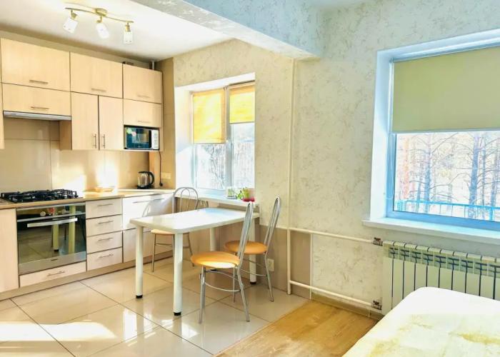 Studiya v samom tsentre s parkovkoy Flat