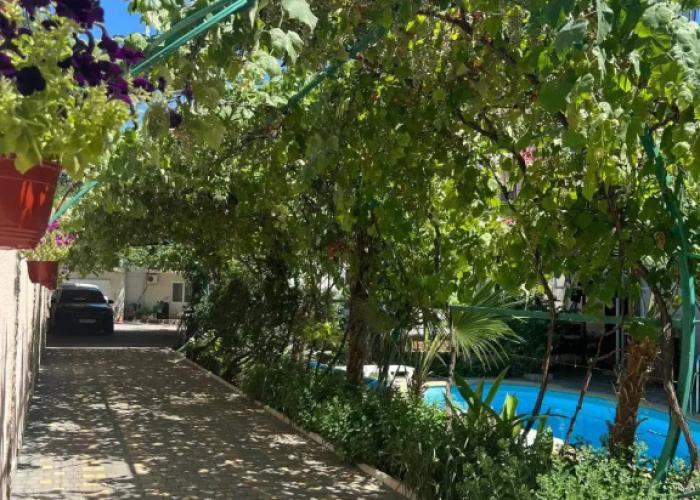 Nadezhda Guest House