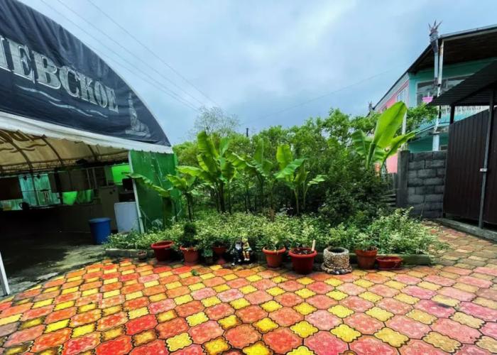 KriArt on Kamo 19 Guest house