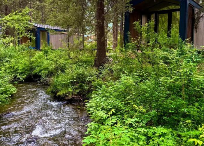 Zelyony Kolobok Recreation camp