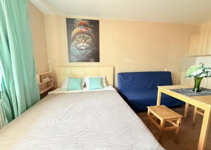Kvartira studiya Nevabed v Metallostroye na Sadovoy Apartments