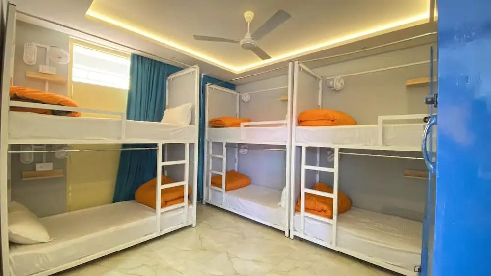 фото Madpackers Bir