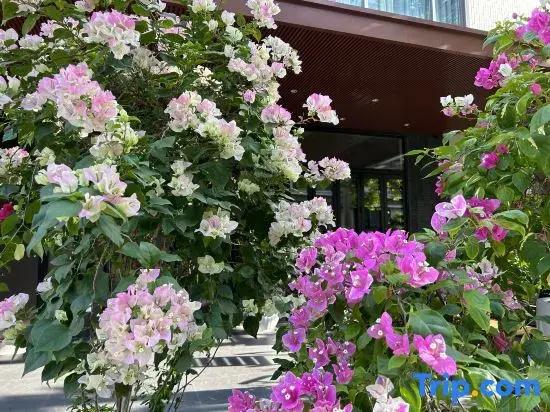 Xishe No.1 Homestay