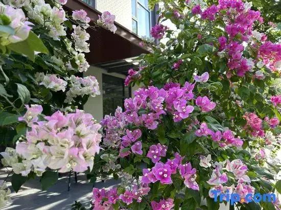 Xishe No.1 Homestay