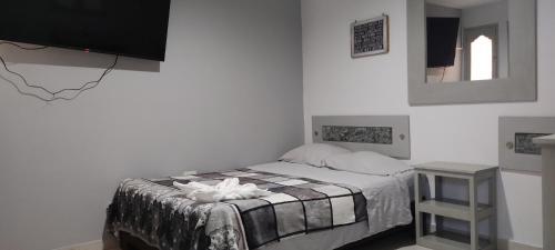 Hotel Castillo Plaza