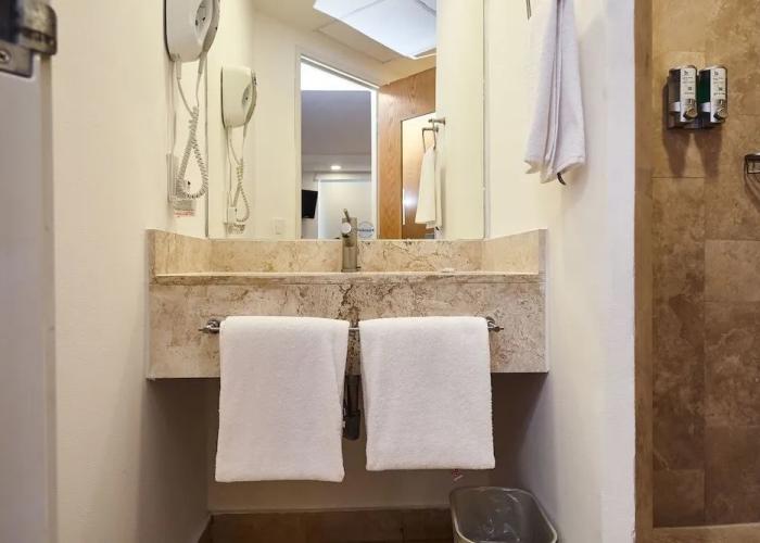 BH Business Hotel Group