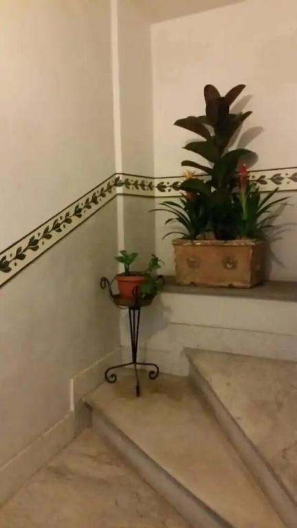 фото Diapason Colosseum Suite