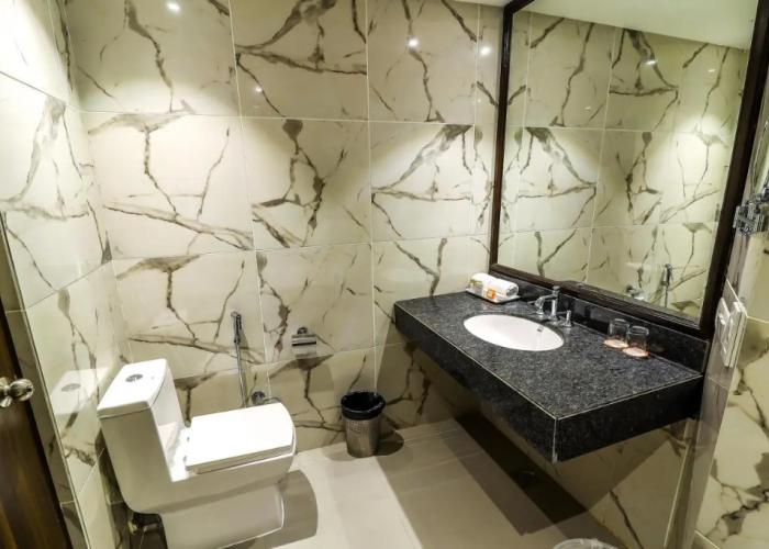 Hotel Piccadily Raipur