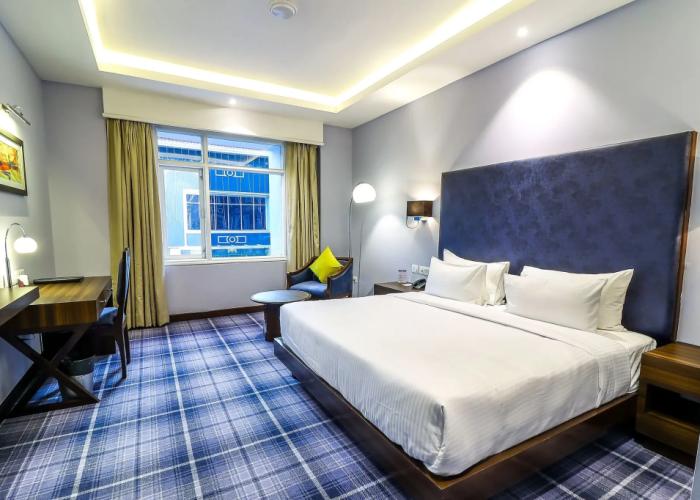Hotel Piccadily Raipur