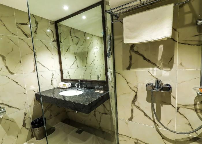 Hotel Piccadily Raipur