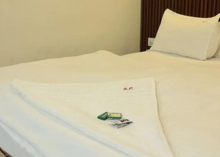 Hotel Sudarshan Palace