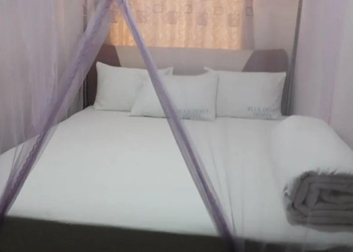 Blue Dove Hotel Arua