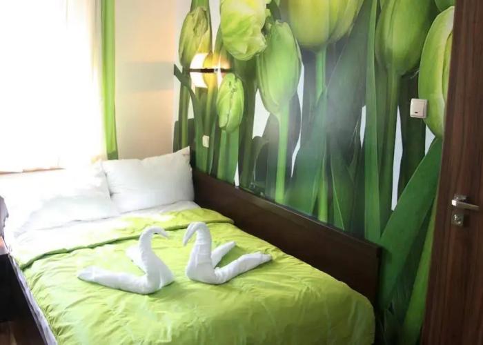 Hotel Mieszko