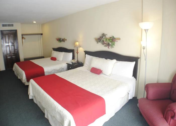 Apart Hotel La Cordillera