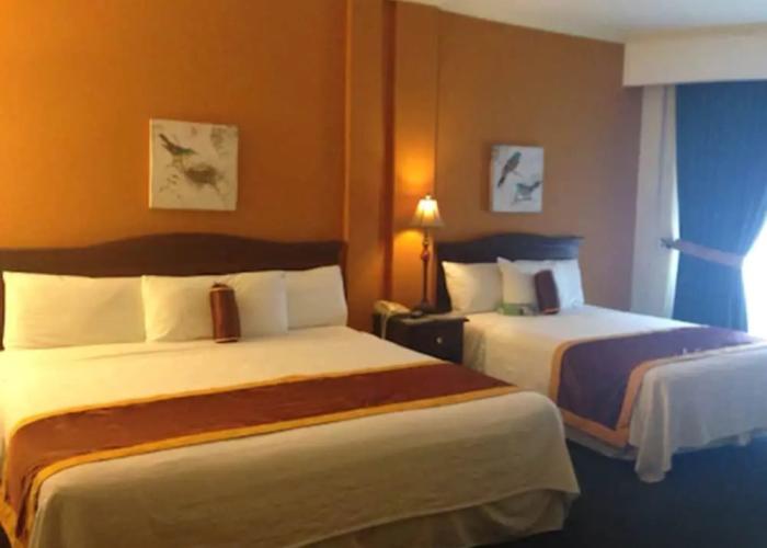 Apart Hotel La Cordillera
