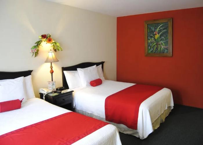 Apart Hotel La Cordillera