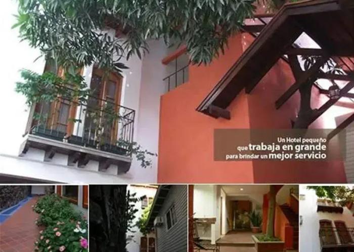 Hotel Casa del Arbol