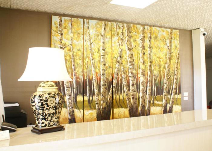 Country Lodge Motor Inn