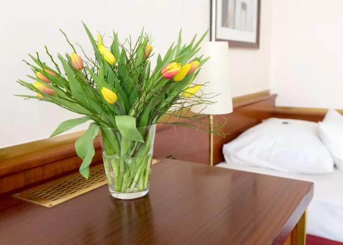 Amedia Siegen, Trademark Collection by Wyndham