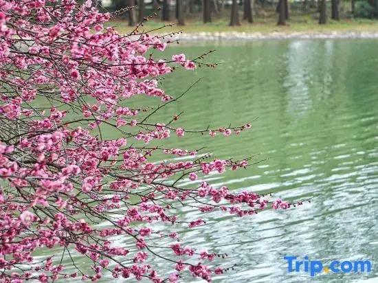 Oriental Land Resort (Hotel)