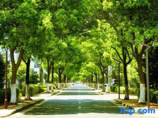 Yating Apartment (Shanghai National Convention and Exhibition Center Branch)