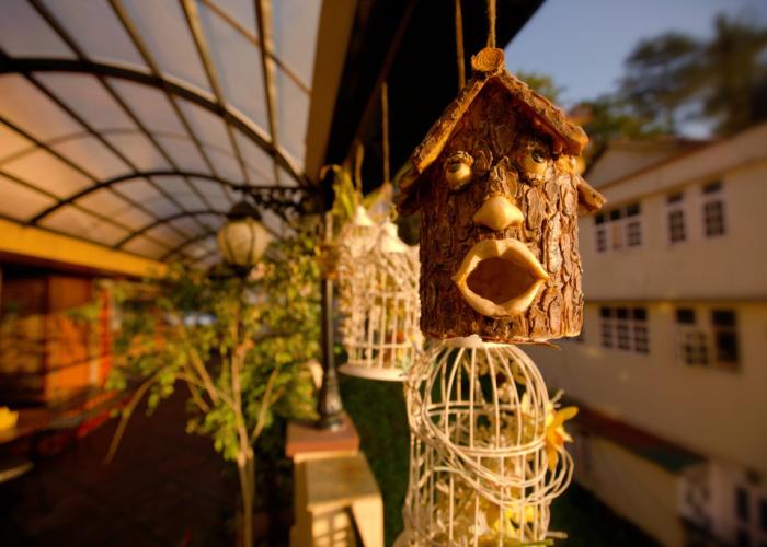 Willow Banks Hotel