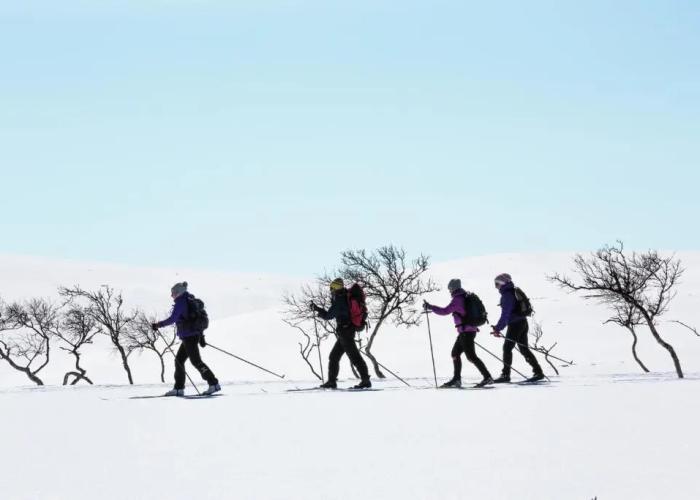 Wilderness Hotel Muotka & Igloos