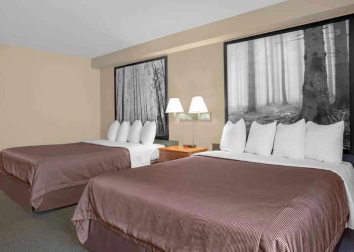 Super 8 by Wyndham Sault Ste Marie On