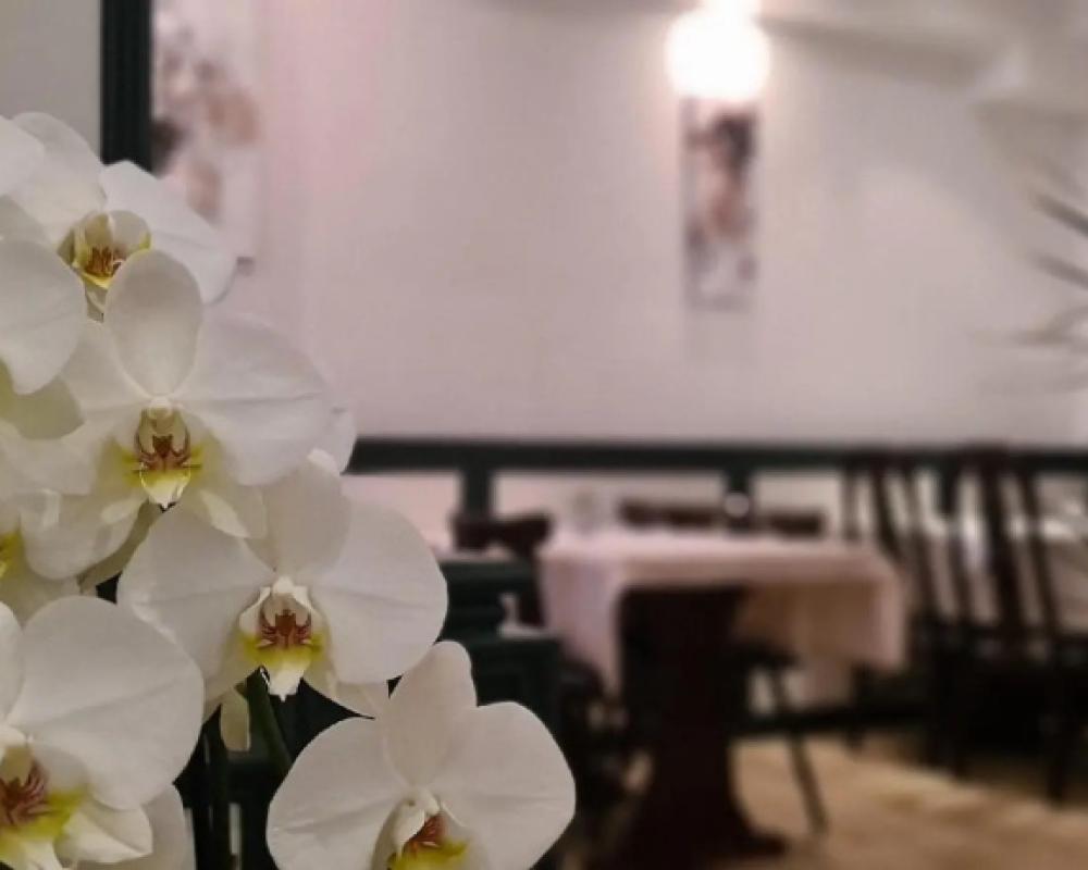 фото Hotel Lamm