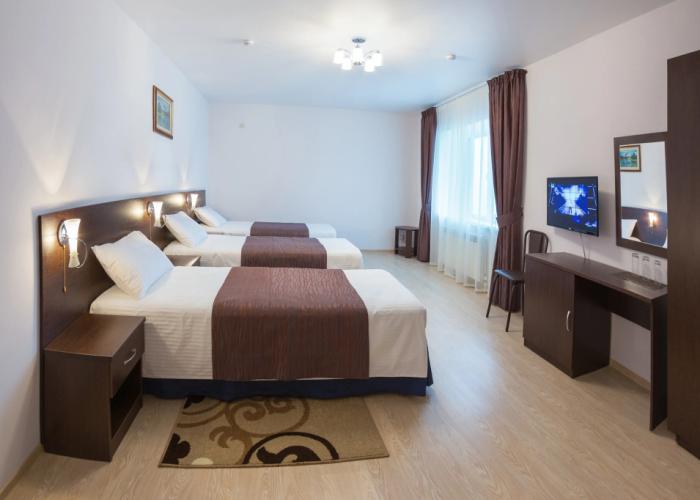Viktoriya Hotel 3*