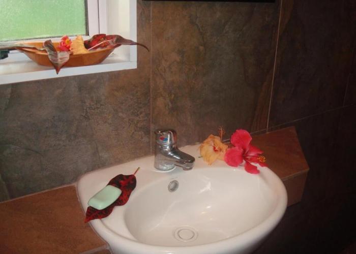 Gecko Lodge Fiji Private Hotel